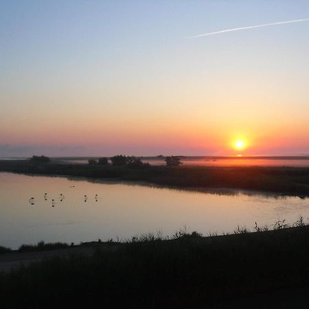 Chambre Les Flamants, Avec Vue Imprenable Sur Les Etangs, Les Oiseaux, La Nature, Petit Dejeuner Compris Saintes-Maries-de-la-Mer Exteriör bild