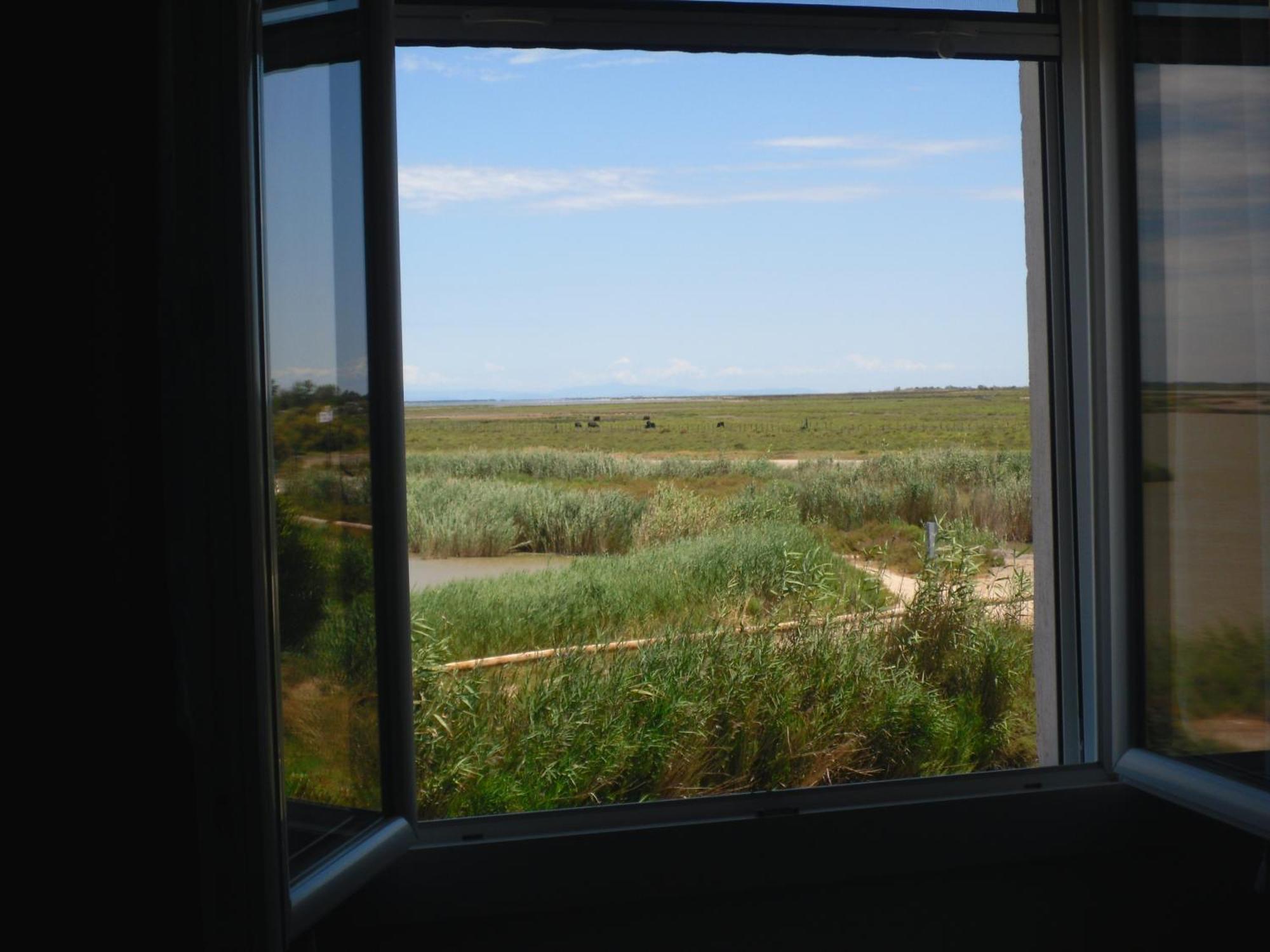 Chambre Les Flamants, Avec Vue Imprenable Sur Les Etangs, Les Oiseaux, La Nature, Petit Dejeuner Compris Saintes-Maries-de-la-Mer Exteriör bild